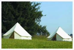 Tortuga Missouri Mit BoWa