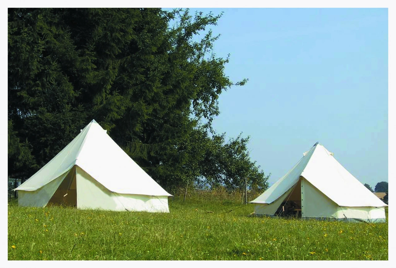 Tortuga Missouri Mit BoWa 1 Tortuga Missouri Mit BoWa