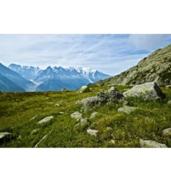 Vango F10 Helium UL 2 Trekkingzelt -Camping-ausrüstung Verkäufe 2024 8057309 1280x1280